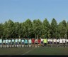 电子竞技体育官方-足球场上进球的叫什么